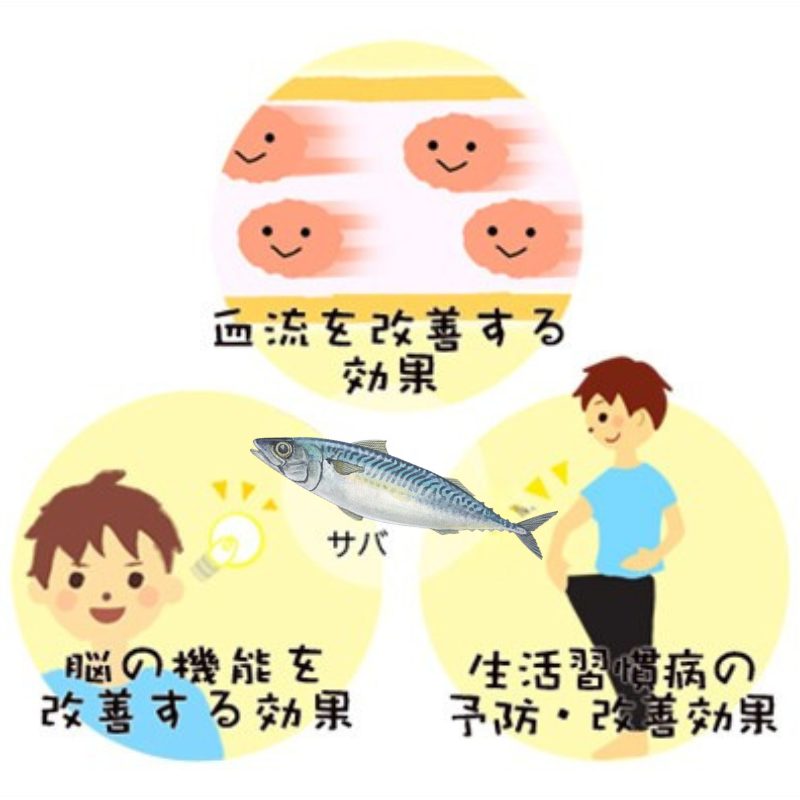 サバ | 成分情報 | わかさの秘密