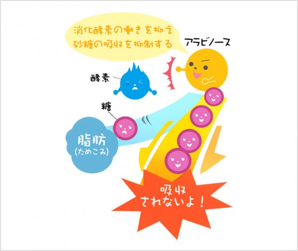 アラビノース 成分情報 わかさの秘密