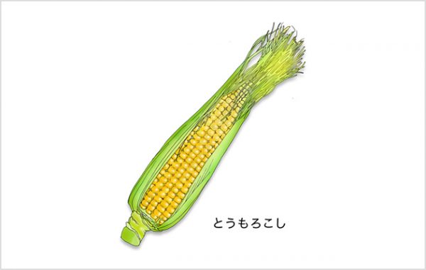 アラビノース 成分情報 わかさの秘密