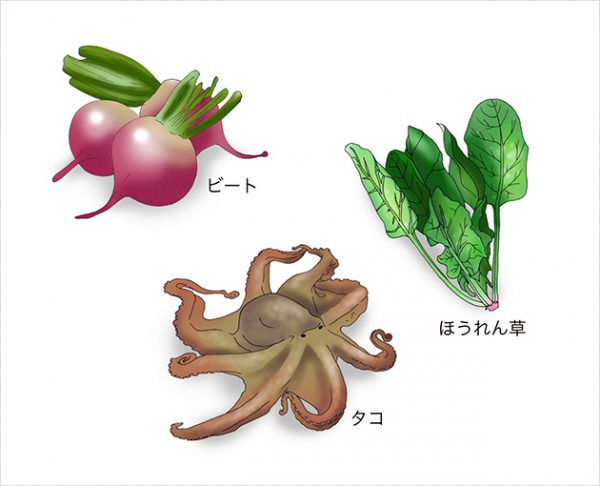 ベタイン | 成分情報 | わかさの秘密