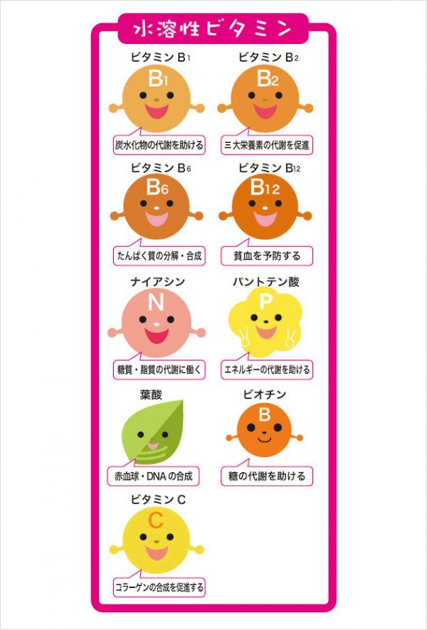 ビタミン類 | 成分情報 | わかさの秘密